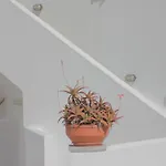 Kois Aparthotel Azolimnos
